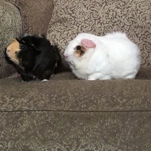 Meet your Posher, Heather